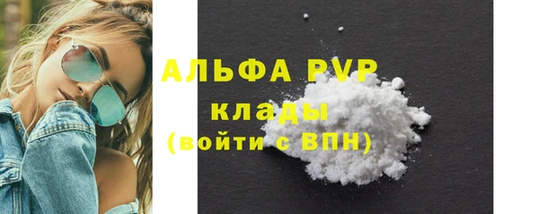 индика Инта