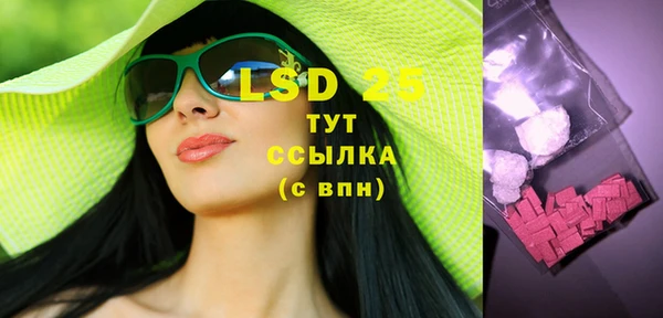 индика Инта