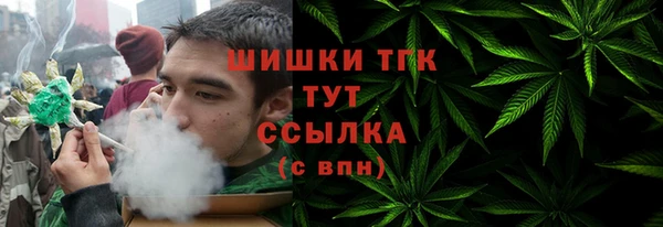 индика Инта