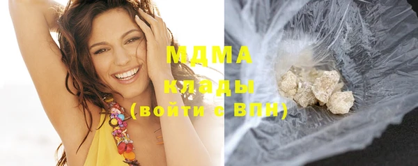 индика Инта