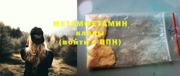 индика Инта