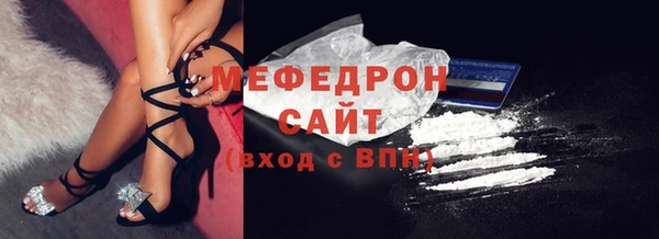 индика Инта