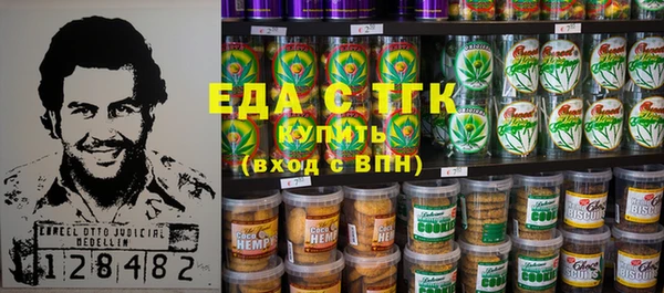 индика Инта