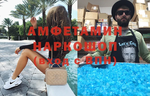 индика Инта