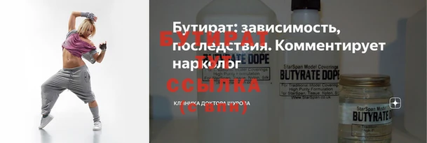 индика Инта