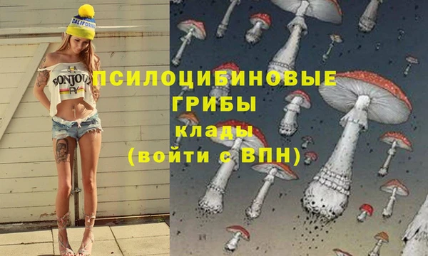 индика Инта