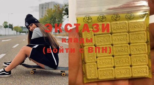 индика Инта