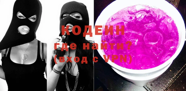 индика Инта