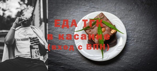 индика Инта