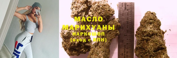 индика Инта